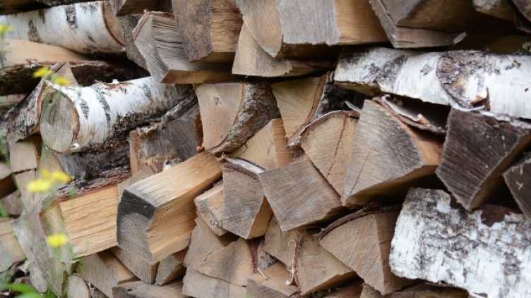 Снимка: Pixabey