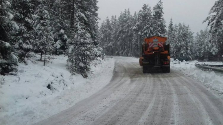 Снимка: БГНЕС, архив