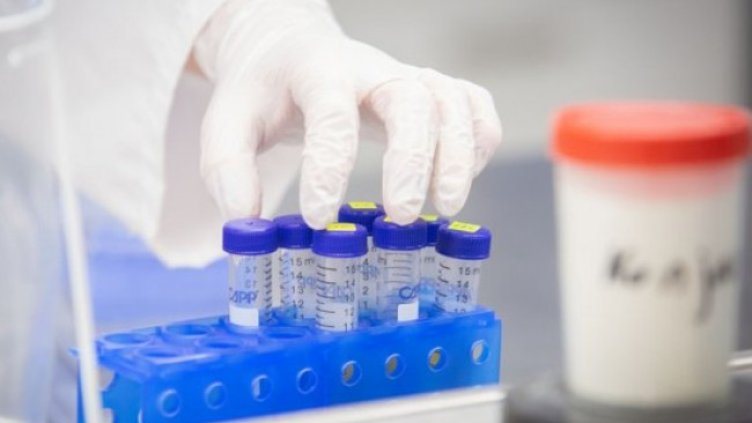 Снимка:Димитър Кьосемарлиев, Dnes.bg