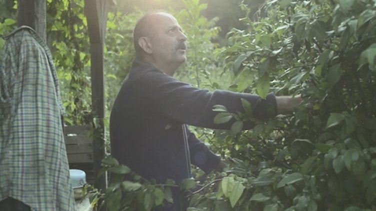 Един по-различен филм за Филип Трифонов - "Фипо: луд за пенсия"