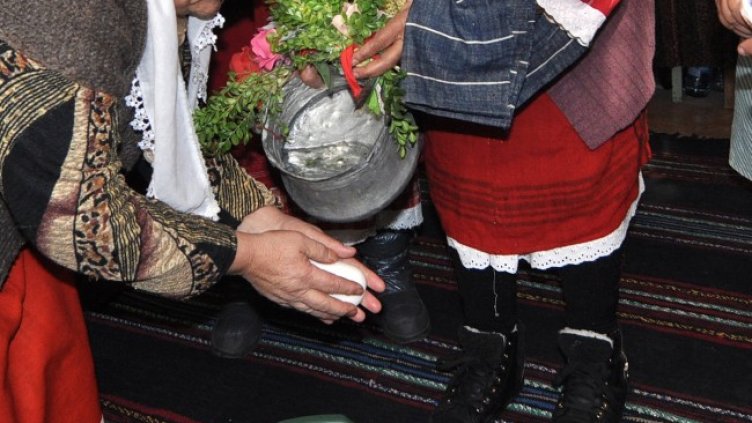 Снимка: архив, БГНЕС