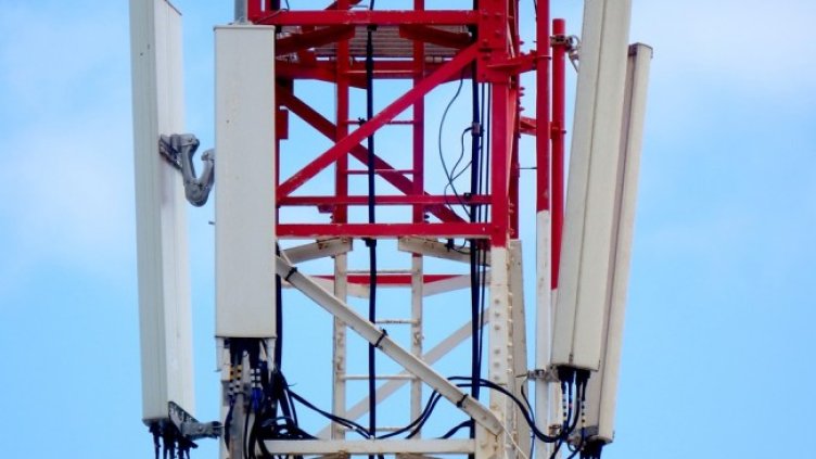 Източник: Pixabay.com