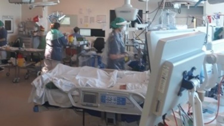 Снимка: БГНЕС