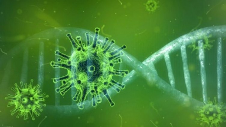 Снимка: Pixabay