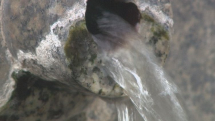 Снимка: БНТ