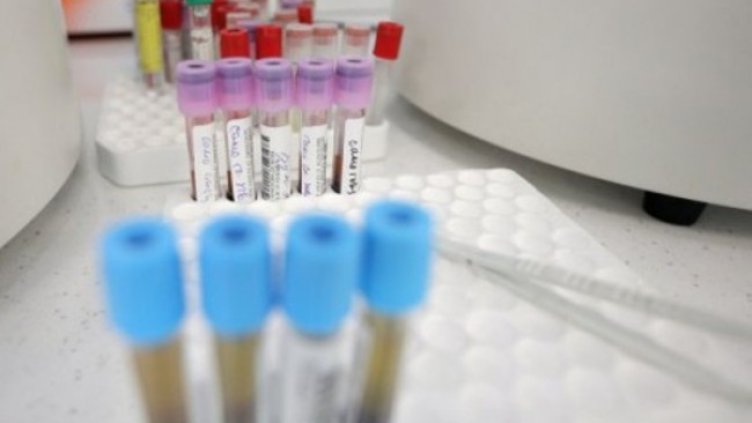 Снимка:Димитър Кьосемарлиев, Dnes.bg