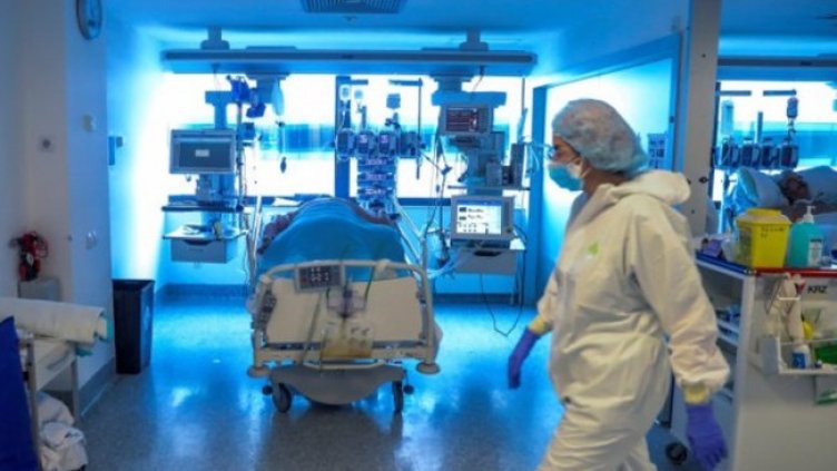 Снимка: БГНЕС