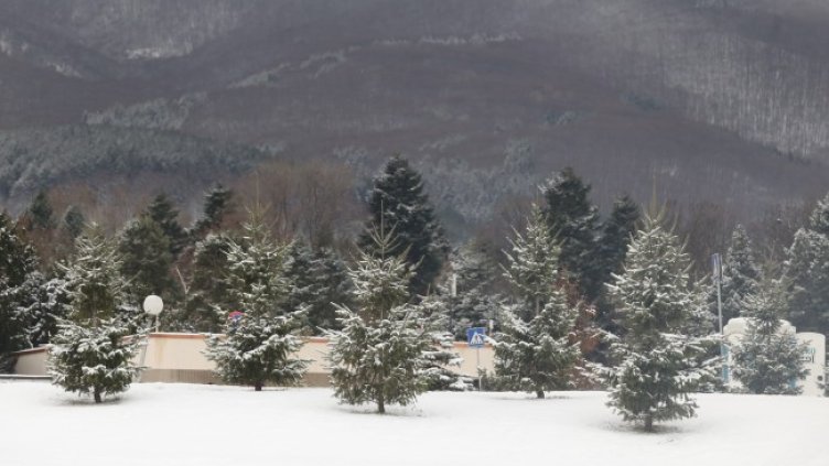 Снимка: БГНЕС