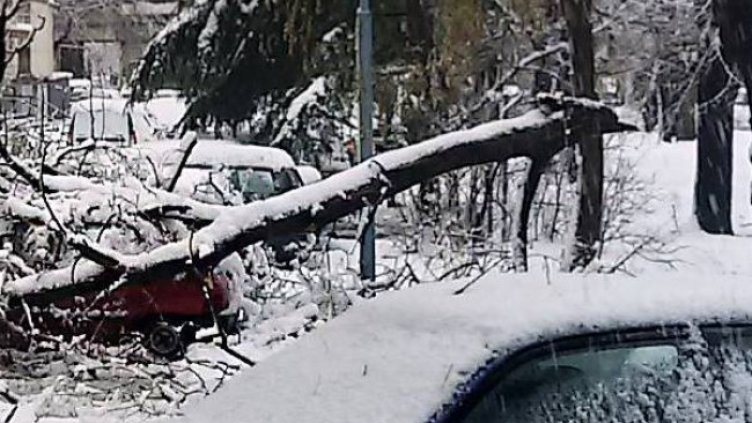 Снимка: БГНЕС