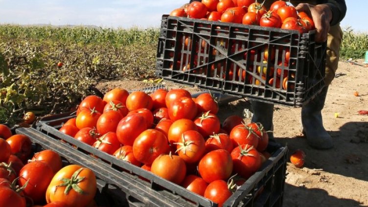 Снимка: архив, БГНЕС