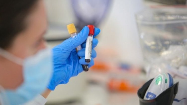 Снимка:Димитър Кьосемарлиев, Dnes.bg