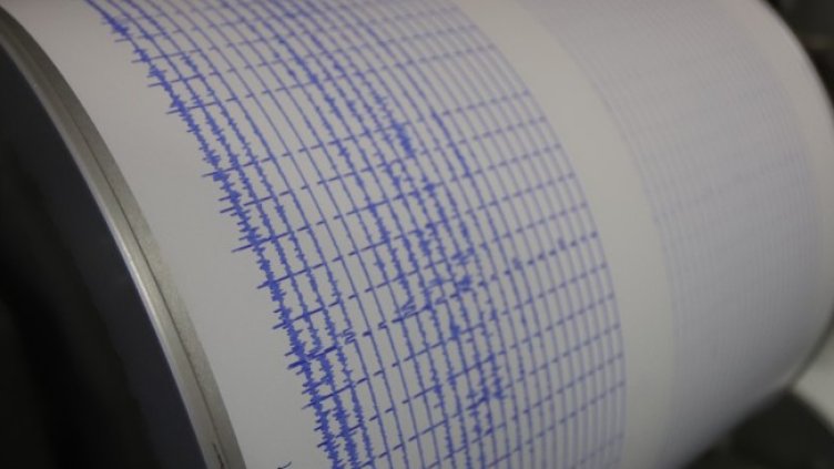 Снимка: архив, БГНЕС