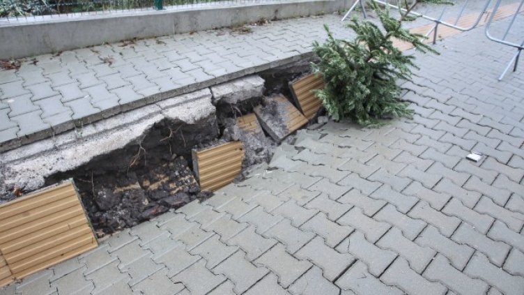 Снимка: Димитър Кьосемарлиев, Dnes.bg