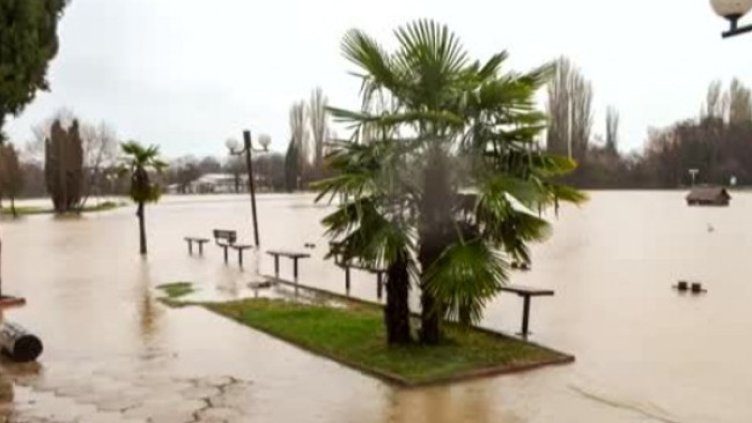 Снимка: Bulgaria ON AIR