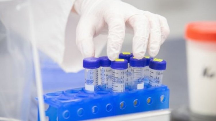 Снимка:Димитър Кьосемарлиев, Dnes.bg