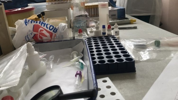 Снимка: БГНЕС