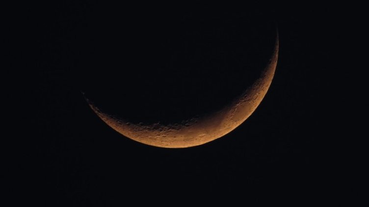 Снимка: Pixabay