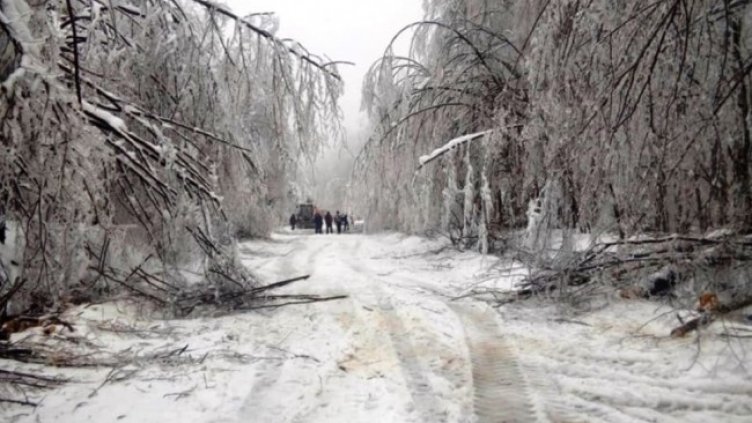 Снимка: АПИ