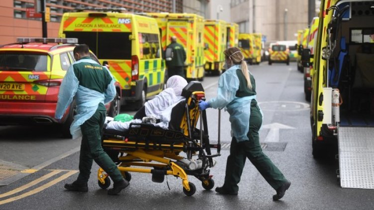 Снимка: архив, БГНЕС