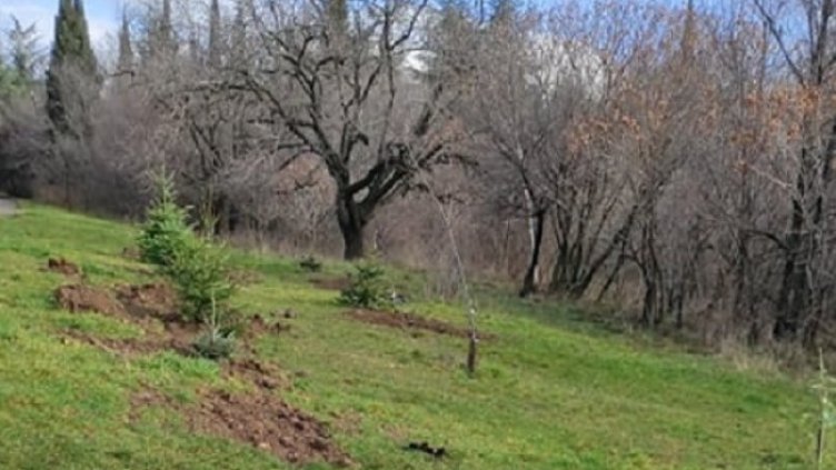 Снимка: Община Стара Загора