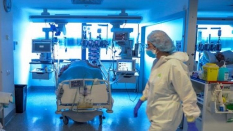 Снимка: БГНЕС