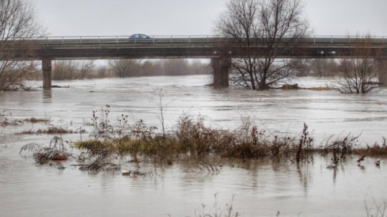 Снимка: Димитър Кьосемарлиев, Dnes.bg