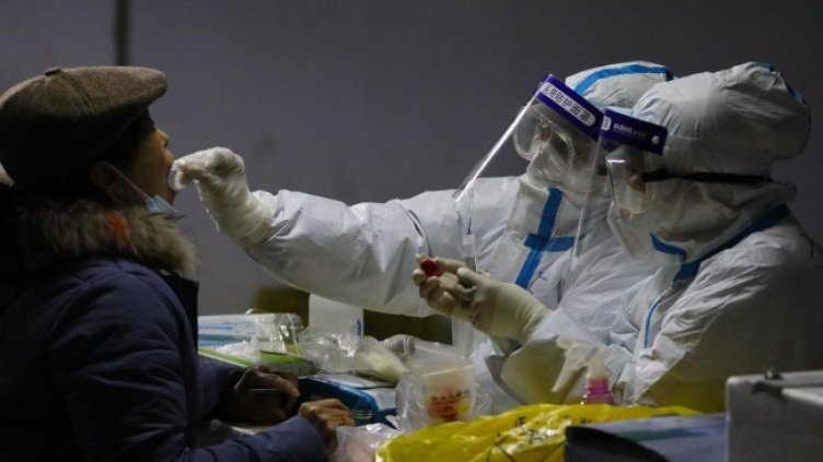 Снимка: БГНЕС