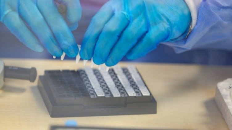 Снимка:Димитър Кьосемарлиев, Dnes.bg