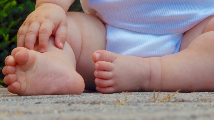 Снимка: Pixabey