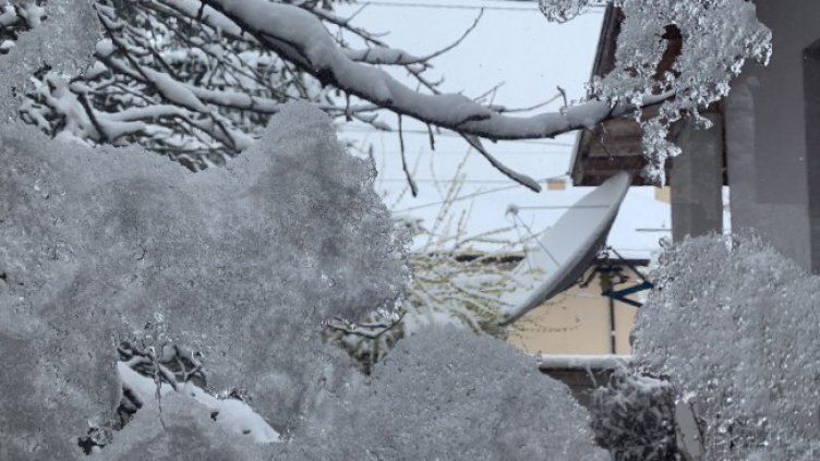 Снимка: БГНЕС