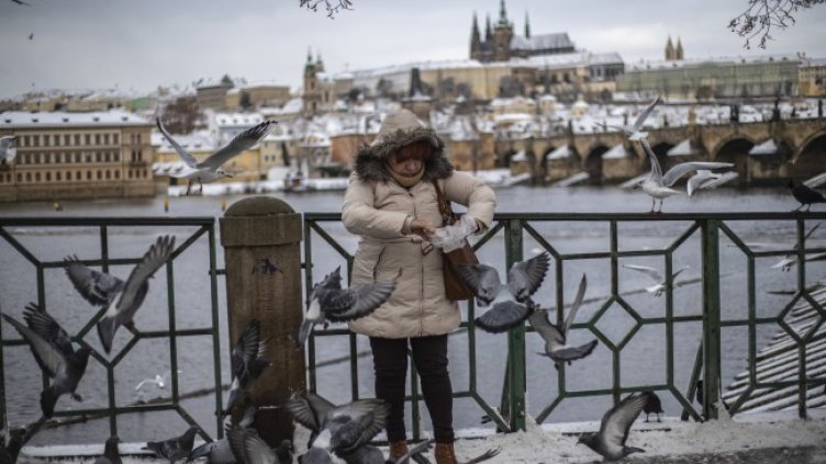 Снимка: БГНЕС