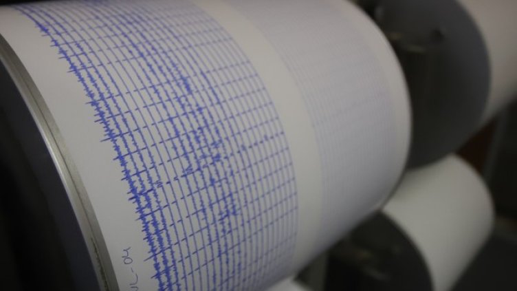 Снимка: архив, БГНЕС