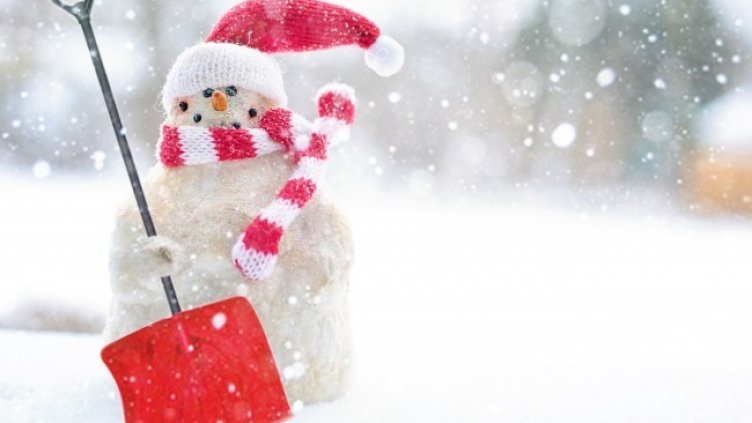 Снимка: Pexels