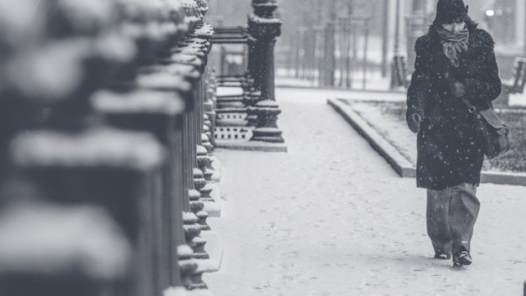 Снимка: Pixabay