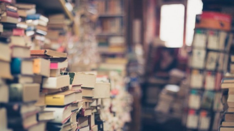 Снимка: Pixabay