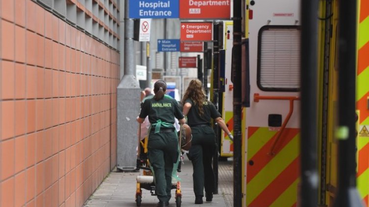 Снимка: БГНЕС