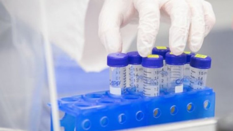 Снимка:Димитър Кьосемарлиев, Dnes.bg