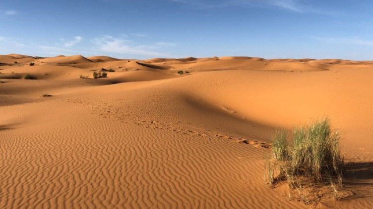 Снимка: pexels.com