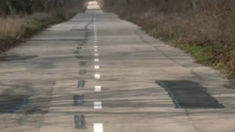 Снимка: Кадър БНТ