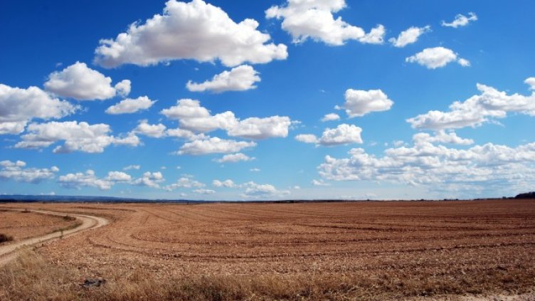 Източник: Агрион
Източник: Агрион