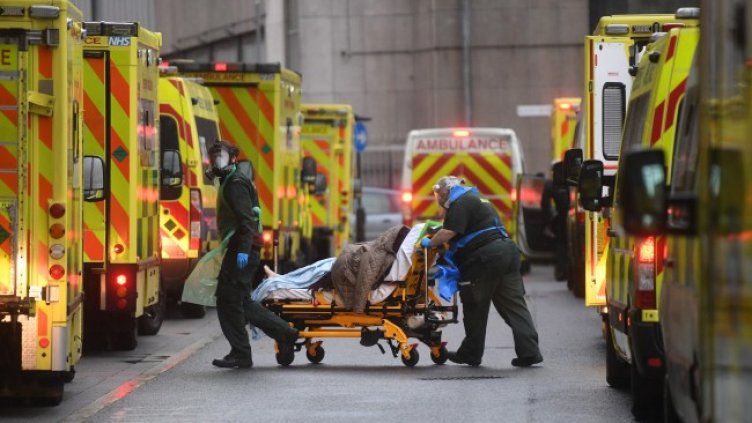 Снимка: архив, БГНЕС