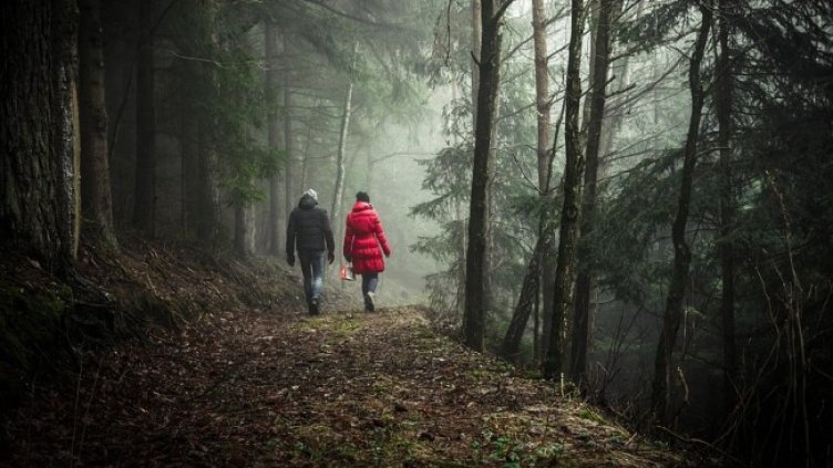 Снимка: Pixabay