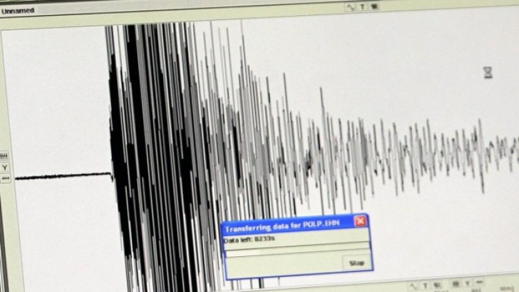 Снимка: архив, БГНЕС