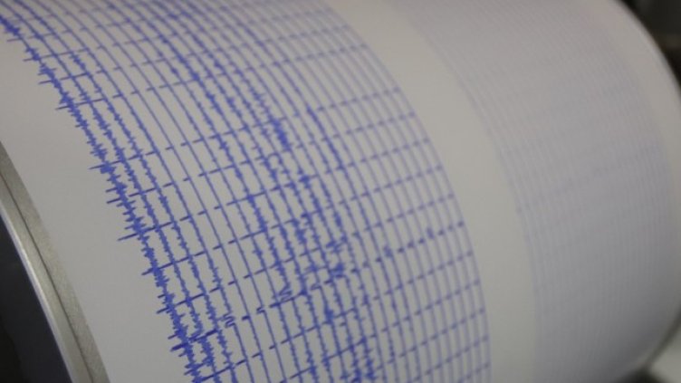 Снимка: архив, БГНЕС