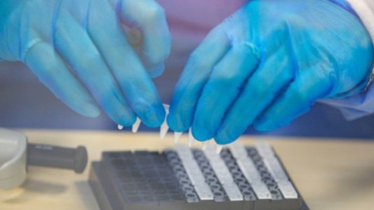 Снимка:Димитър Кьосемарлиев, Dnes.bg