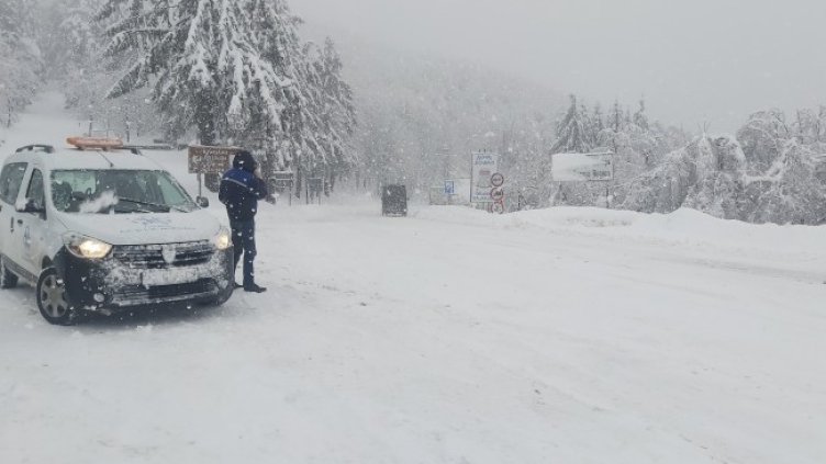 Снимка: БГНЕС