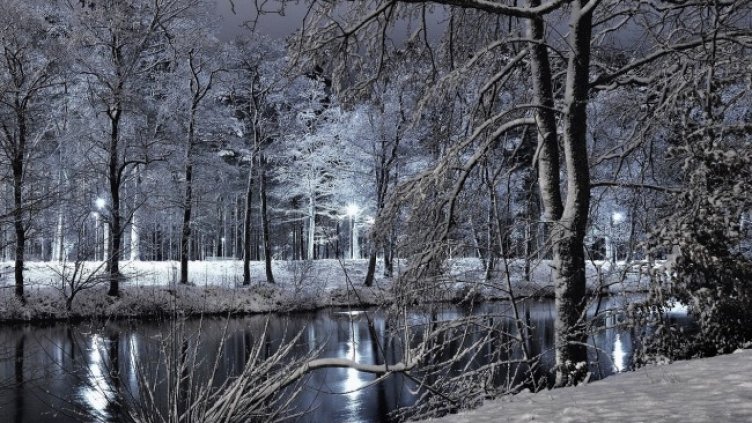 Снимка: Pixabay