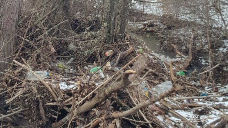 Снимка: Helpbook