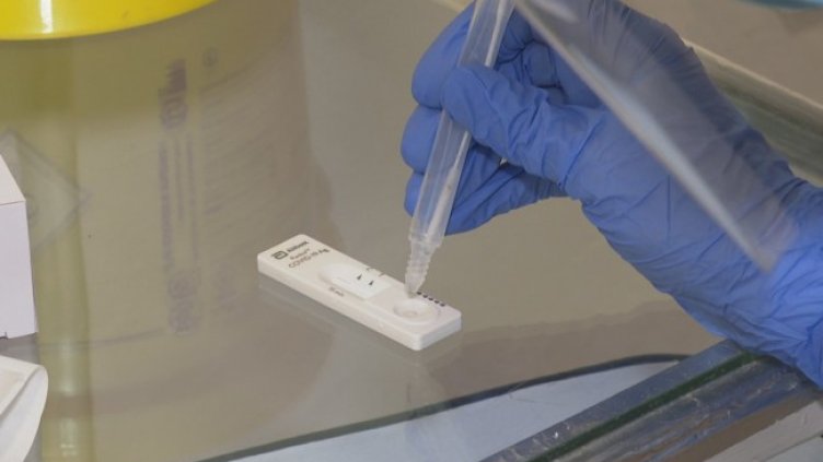 Снимка: БГНЕС