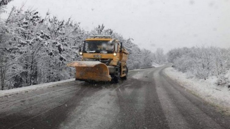 Снимка: архив, БГНЕС